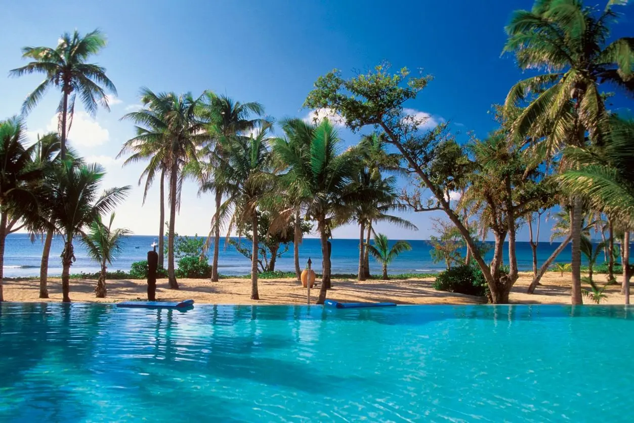 Palm Trees betweeen pool and ocean